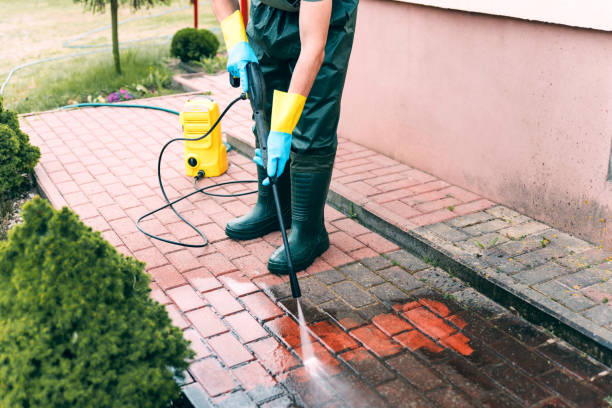Best Pressure Washing Company Near Me  in Palisades Park, NJ
