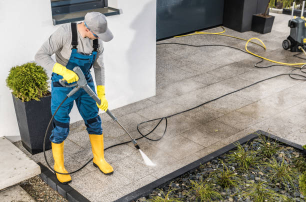 Best Pressure Washing Near Me  in Palisades Park, NJ