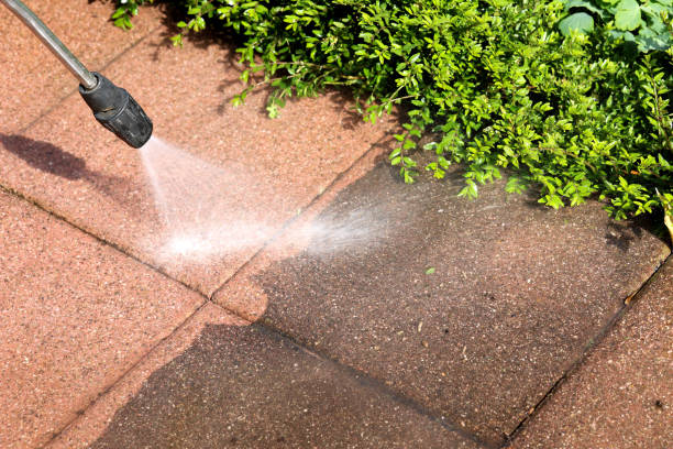 Best Affordable Pressure Washing  in Palisades Park, NJ